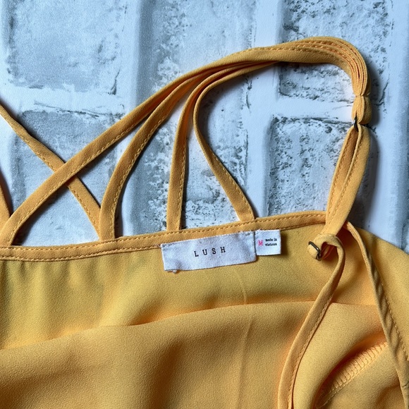 LUSH | SHEER BACK CROSS CAMISOLE - Picture 6 of 7